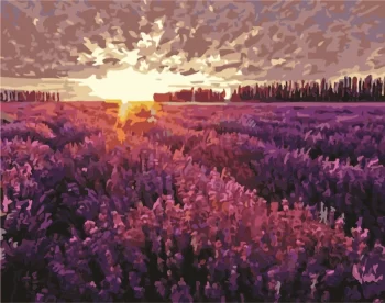 Diy Digital Oil Painting Living Room Landscape Architecture Flower Decorative Painting-117-Lavender in Provence